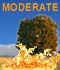 Fire Weather Index: MODERATE