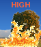 Fire Weather Index: VERY HIGH